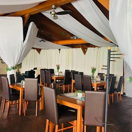 21 3* 브라티슬라바